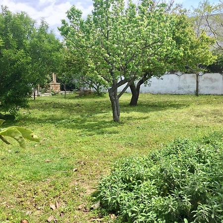 Salento Appartamenti Casalabate Esterno foto