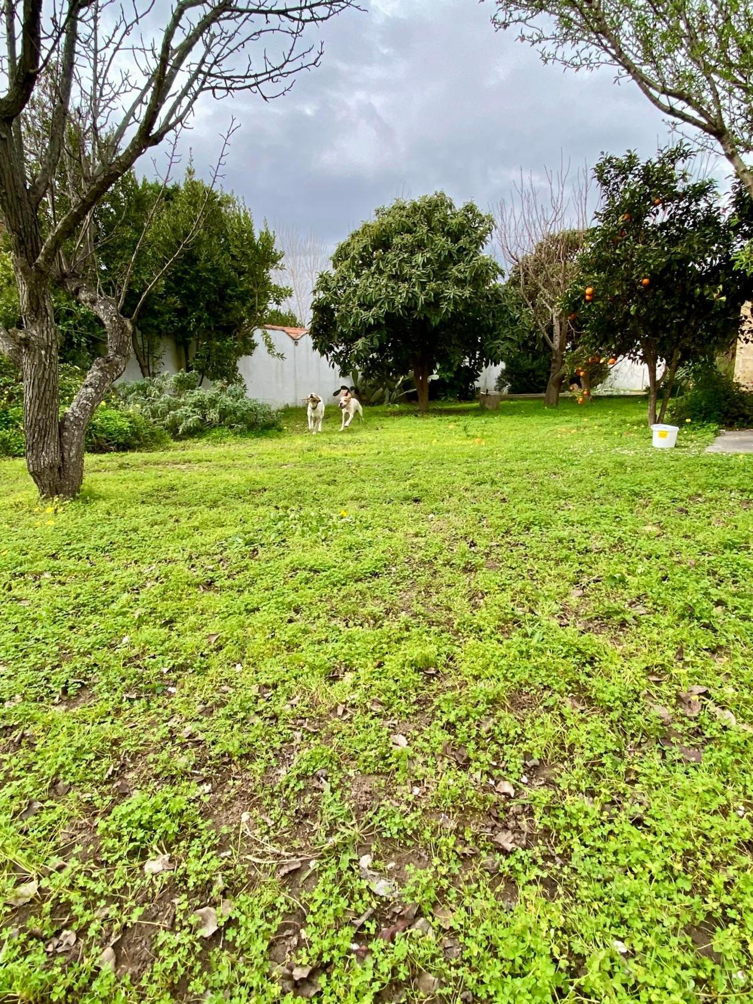 Salento Appartamenti Casalabate Esterno foto