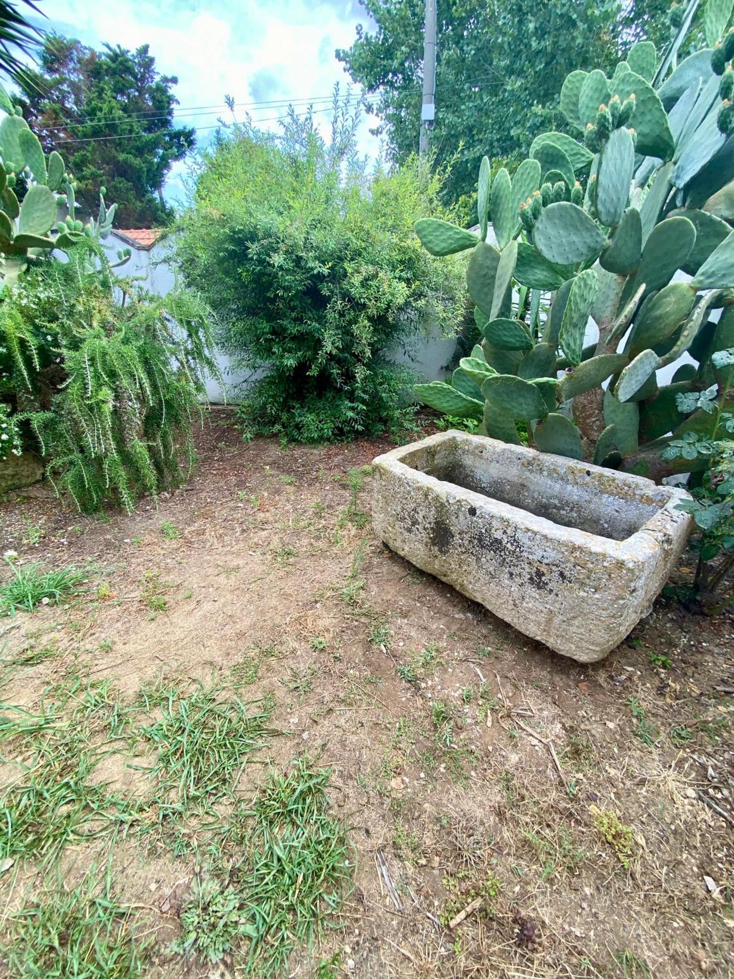 Salento Appartamenti Casalabate Esterno foto